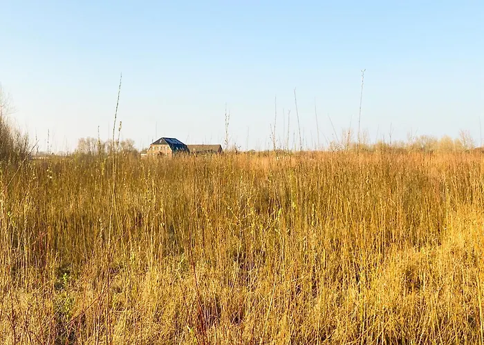 Pearls - Neubauwohnung Mit Balkon, Emmerich-elten